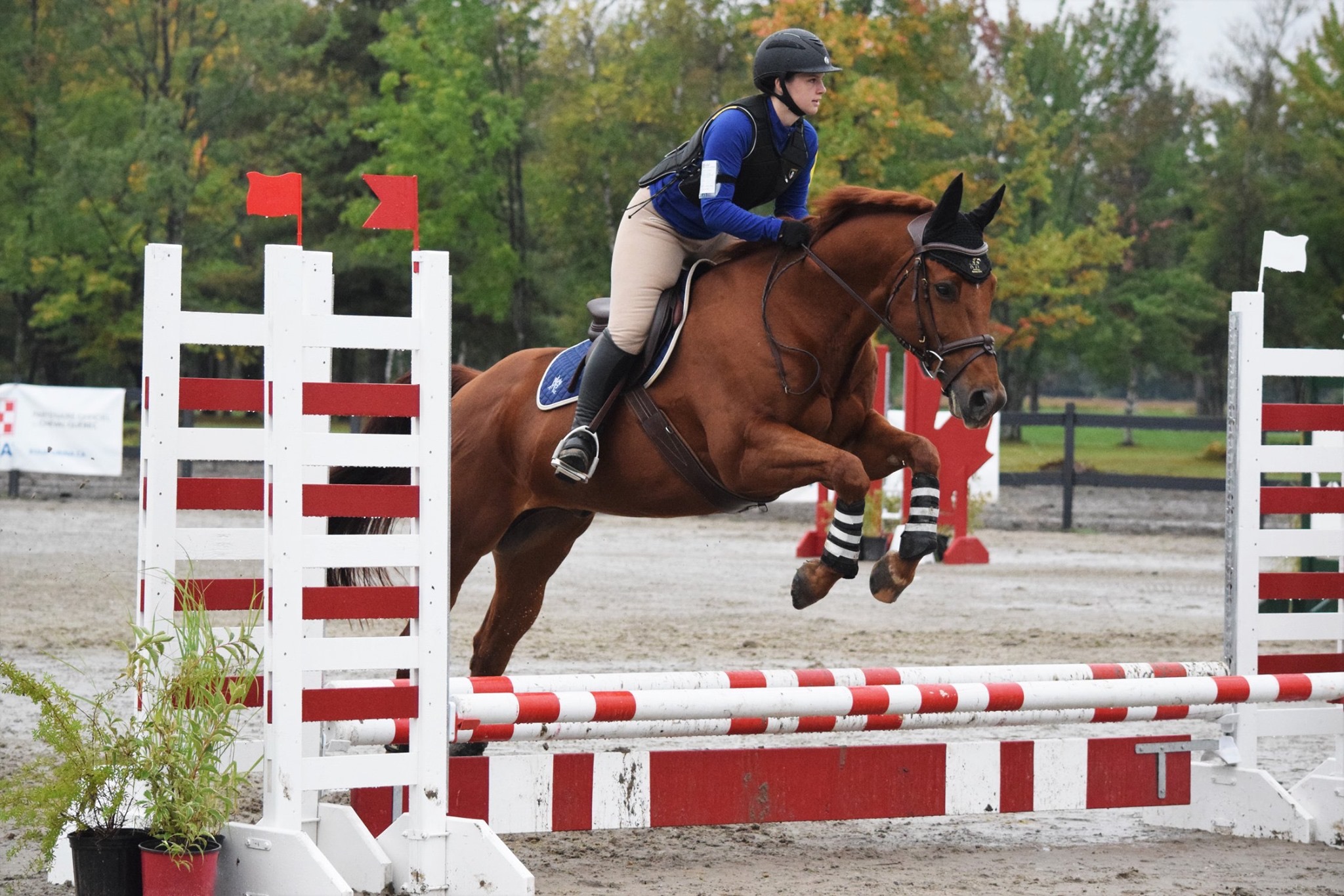 Gabrielle et son cheval Kopa à l'obstacle en compétition au Complexe Équestre de Bécancour