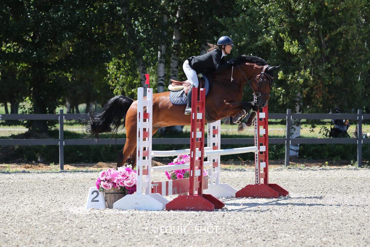 Alexandra et son Cheval ByHeart de côté au dessus d'un obstacle